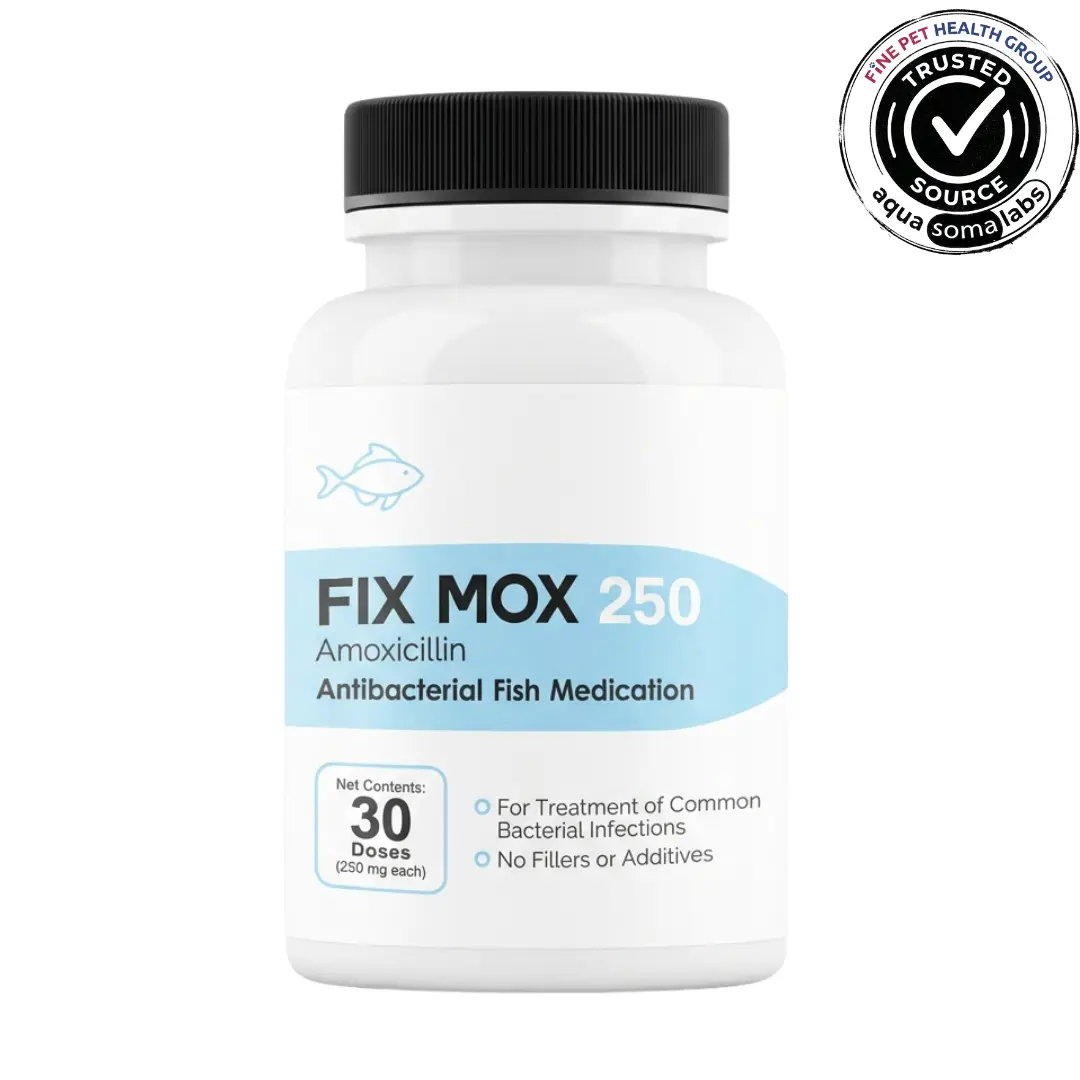 Precision Wellness For Your Pets